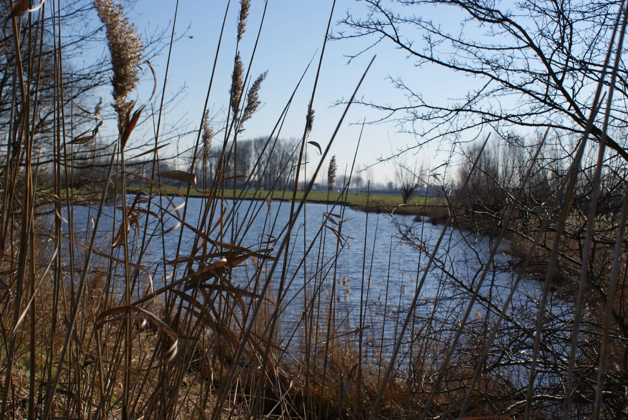Landschap
